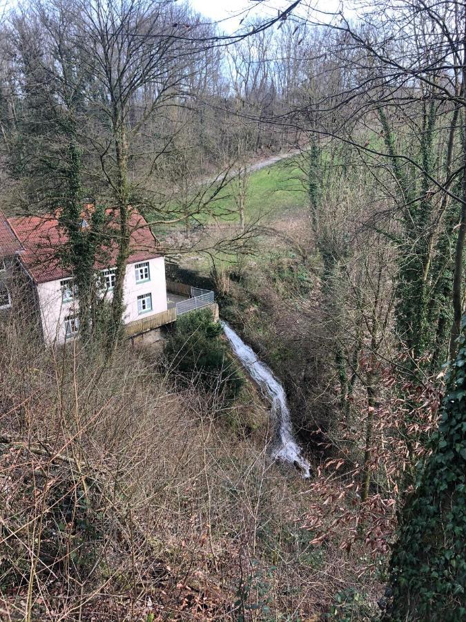 Apartment Waldruhe